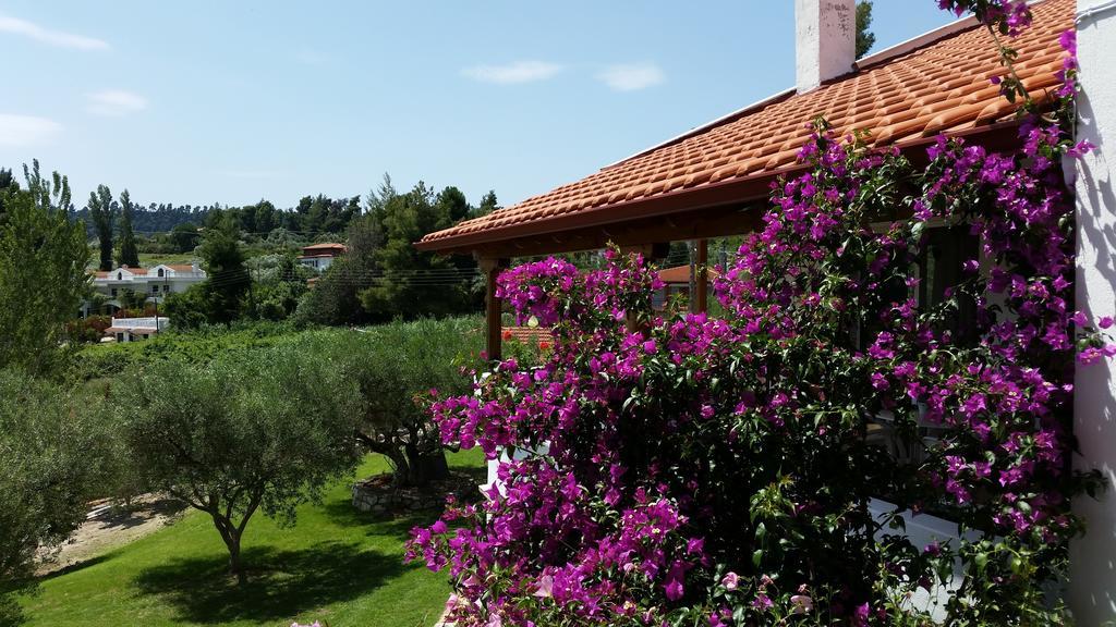 Amparoudes Appartement Kriopigi Buitenkant foto